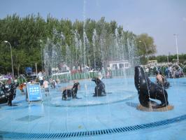 China Harbin Polarland